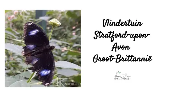vlindertuin stratford-upon-avon