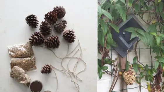 vogel voeder DIY